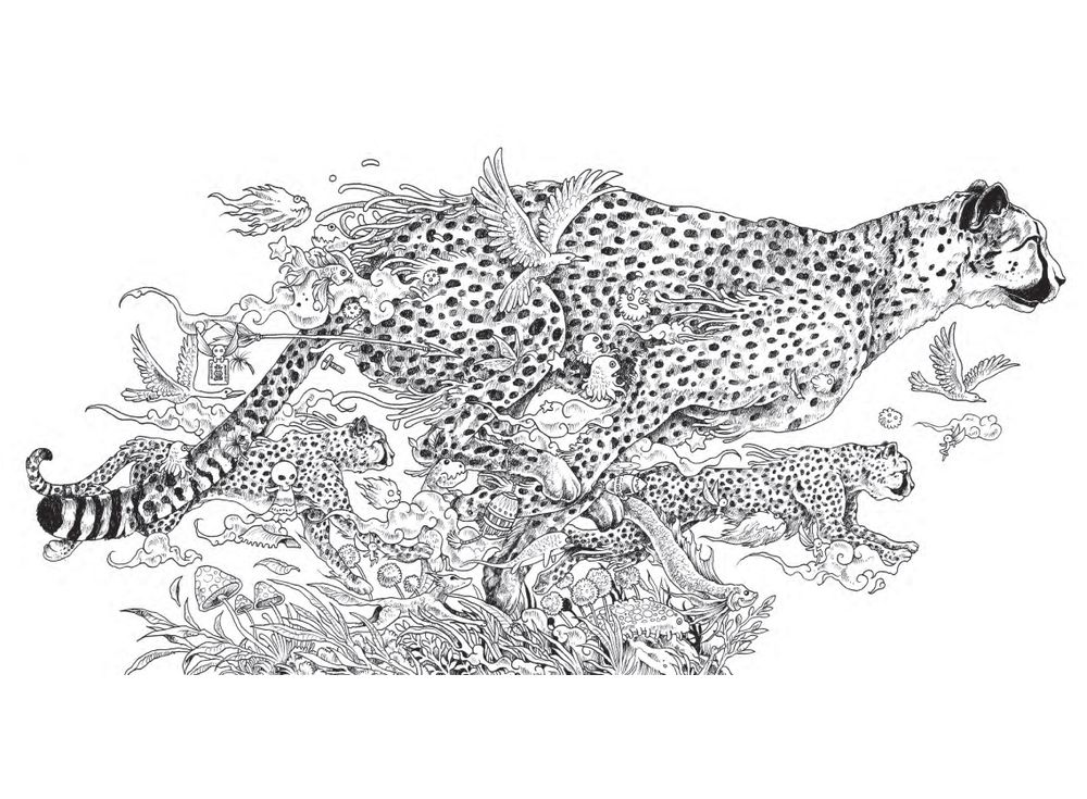 Раскраски kerby rosanes Раскраски kerby rosanes
