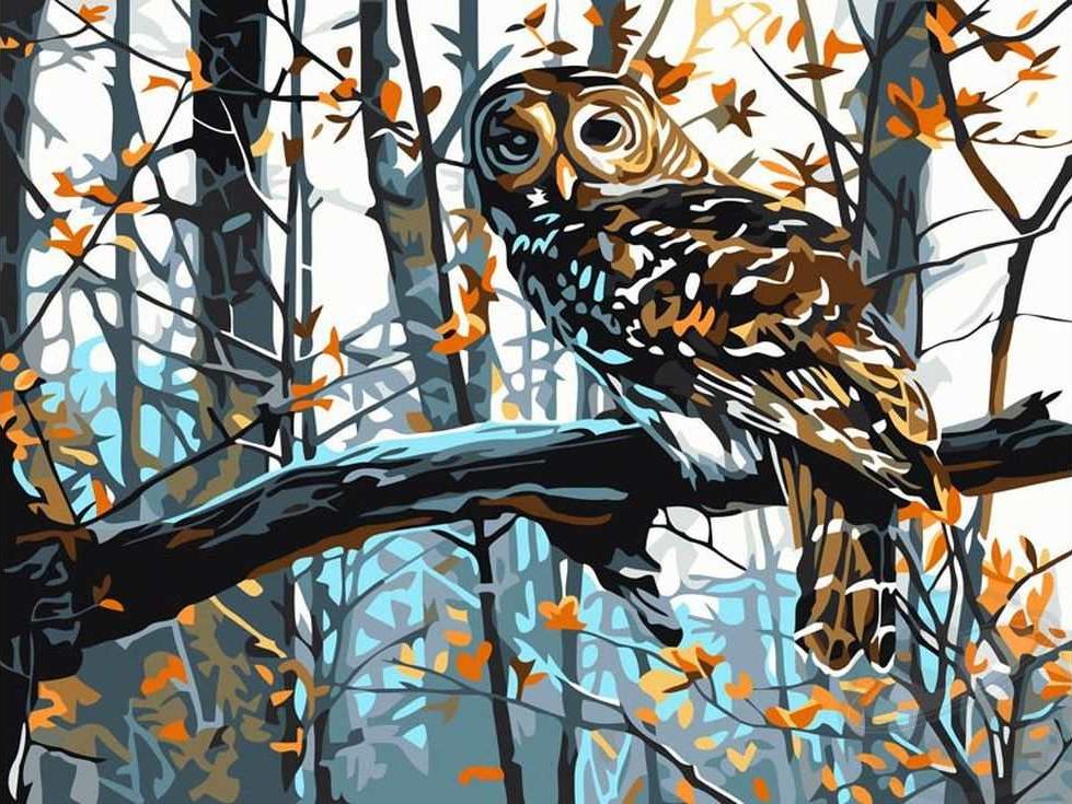 «Мудрая сова» «Мудрая сова»Раскраски по номерам Paintboy (Original)<br><br><br>Артикул: EX5021_R<br>Основа: Холст<br>Сложность: легкие<br>Размер: 30x40 см<br>Количество цветов: 16<br>Техника рисования: Без смешивания красок