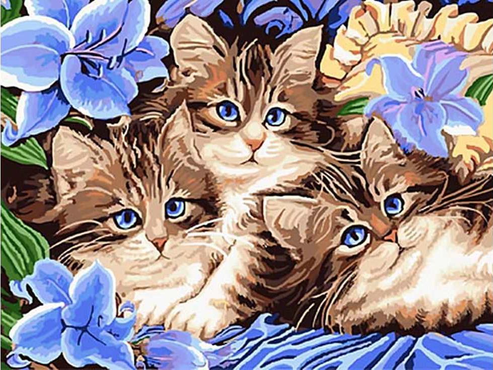 «Котята в цветах» «Котята в цветах»Paintboy (Premium)<br><br><br>Артикул: GX3071<br>Основа: Холст<br>Сложность: средние<br>Размер: 40x50 см<br>Количество цветов: 23<br>Техника рисования: Без смешивания красок