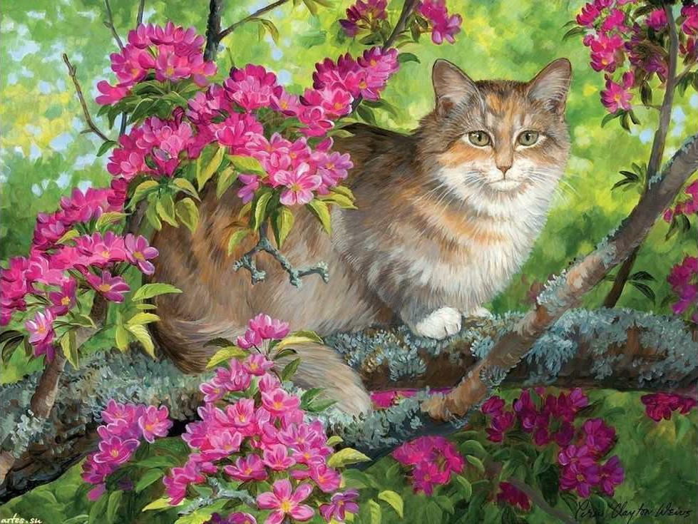 «Кошка на цветущем дереве» Персис Клейтон Вейерс «Кошка на цветущем дереве» Персис Клейтон ВейерсРаскраски по номерам Paintboy (Original)<br><br><br>Артикул: GX3250_R<br>Основа: Холст<br>Сложность: сложные<br>Размер: 40x50 см<br>Количество цветов: 28<br>Техника рисования: Без смешивания красок