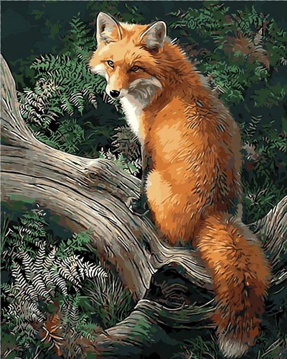 «Лиса в лесу» «Лиса в лесу»Раскраски по номерам Menglei (Standart)<br><br><br>Артикул: MG6932_S<br>Основа: Холст<br>Сложность: сложные<br>Размер: 40x50 см<br>Количество цветов: 24<br>Техника рисования: Без смешивания красок