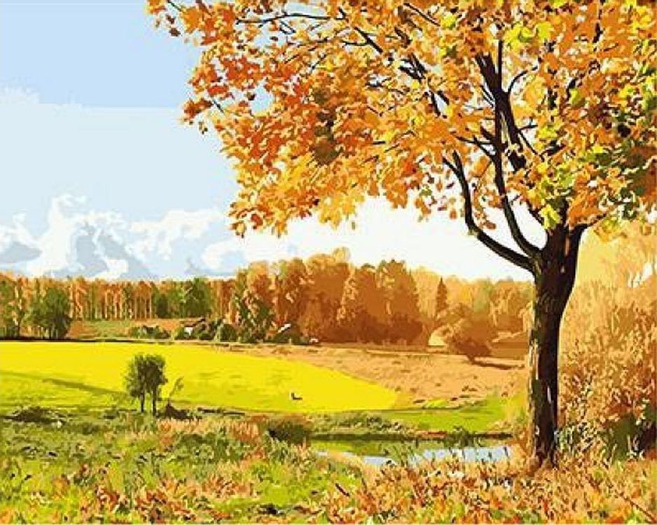 «Осенний пейзаж» «Осенний пейзаж»Paintboy (Premium)<br><br><br>Артикул: GX3116<br>Основа: Холст<br>Сложность: средние<br>Размер: 40x50 см<br>Количество цветов: 24<br>Техника рисования: Без смешивания красок