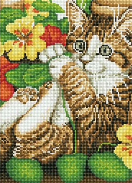 Алмазная вышивка «Игривый котенок» Алмазная вышивка «Игривый котенок»Цветной<br>Обновленная серия алмазной мозаики от бренда Цветной - это яркие популярные сюжеты и расширенная комплектация качественными составляющими. <br><br><br>Особенности алмазной вышивки от Цветной:<br><br>тканевый холст имеет ярко выраженную приятную на ощупь бархатисту...<br><br>Артикул: C206<br>Основа: Холст на подрамнике<br>Сложность: сложные<br>Размер: 30x40 см<br>Выкладка: Полная<br>Количество цветов: 20-35<br>Тип страз: Круглые непрозрачные (акриловые)