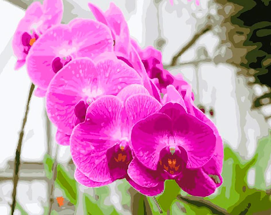 Картина по номерам «Красивая орхидея», «Красивая орхидея»
Картина по номерам «Красивая орхидея», «Красивая орхидея»