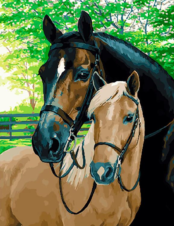 Картина по номерам «Пара лошадей» Персис Клейтон Вейерс
Картина по номерам «Пара лошадей» Персис Клейтон Вейерс