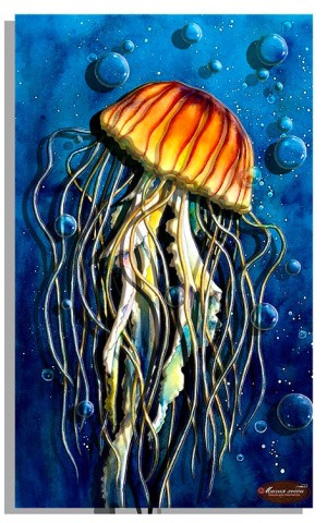 Папертоль «Красавица морей, медуза»