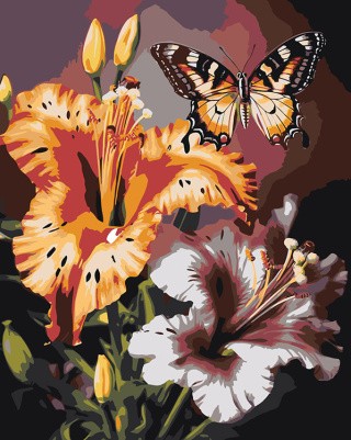 Картина по номерам «Цветы: Лилейники и бабочка»