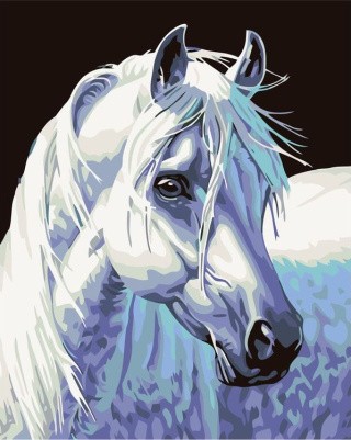 Картина по номерам «Белый конь»