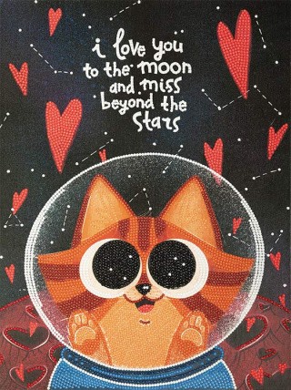 Алмазная вышивка «Постер. Космический кот»