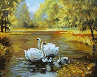 Картина по номерам «Лебеди в пруду»
