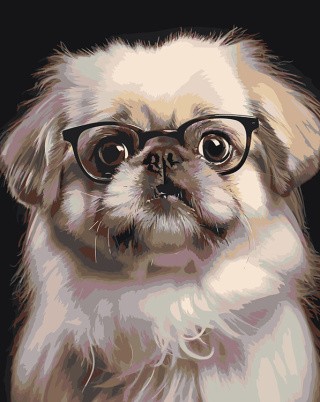 Картина по номерам «Собака Пекинес в очках»