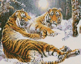 Алмазная вышивка «Тигры в зимнем лесу»