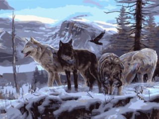 Картина по номерам «Волчья стая на скале»