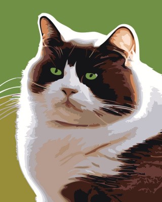 Картина по номерам «Черно-белый толстый котик»