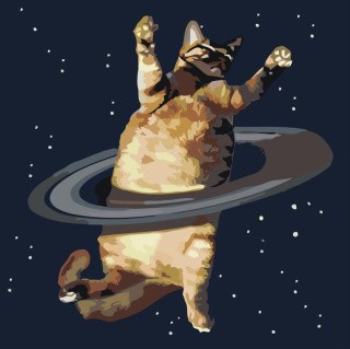 Картина по номерам «Танец в космосе»