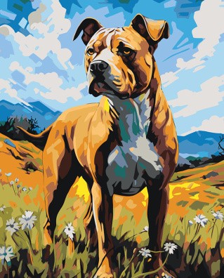 Картина по номерам «Собака Стаффорд (Стаффордширский терьер) 4»