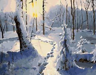 Картина по номерам «Следы на снегу»