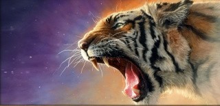Алмазная вышивка «Тигриная ярость»