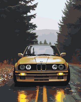 Картина по номерам «Машина BMW на дороге в лесу 40х50»