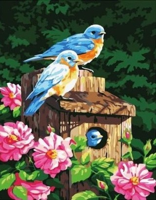 Картина по номерам «Пара птиц»