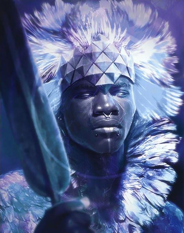 Алмазная вышивка «Король Африки»