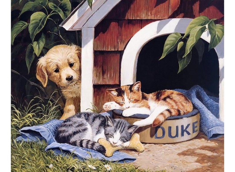 Набор вышивки бисером «Собака и котята»