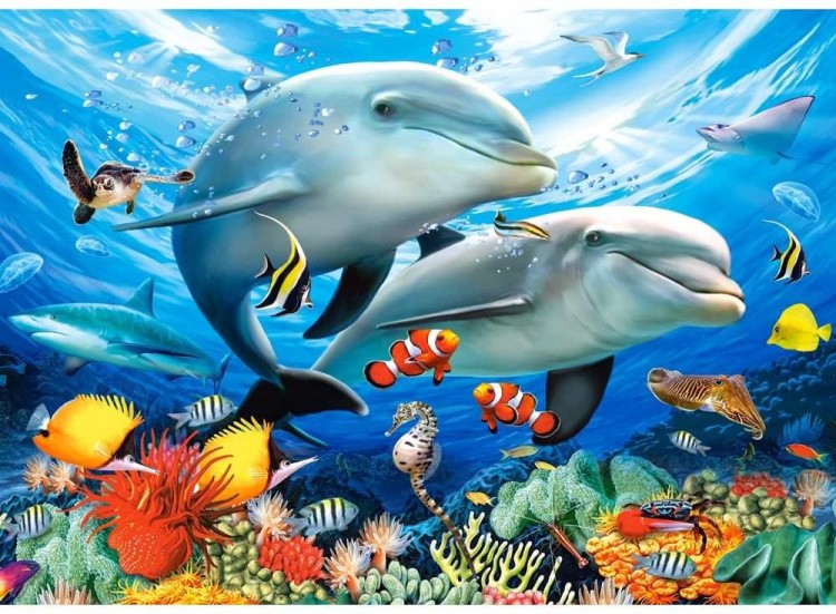 Пазлы «Дельфины»