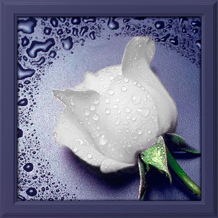 Алмазная вышивка «Белая роза»