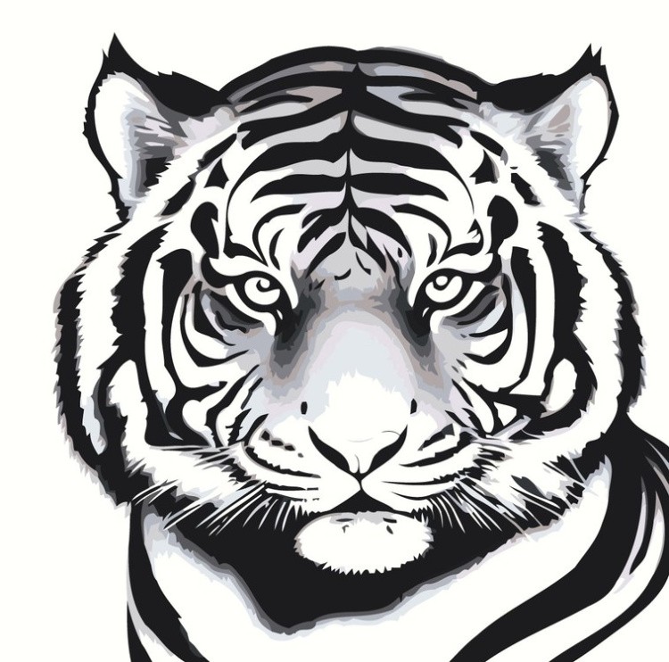 Картина по номерам «Черно-белый тигр»