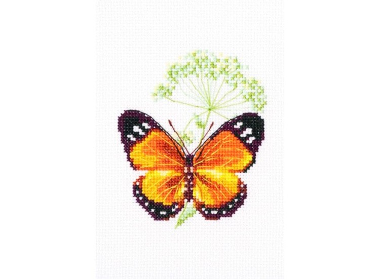 Набор для вышивания «Цветок тмина и бабочка»