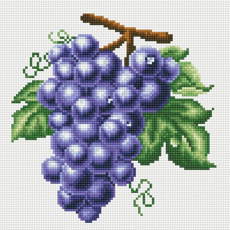Алмазная вышивка «Гроздь винограда»
