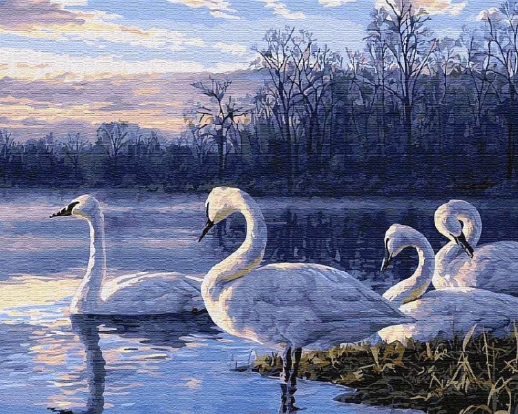 Картина по номерам «Пейзаж с лебедями»