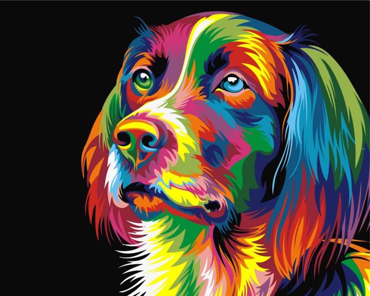 Картина по номерам «Радужный пёс»