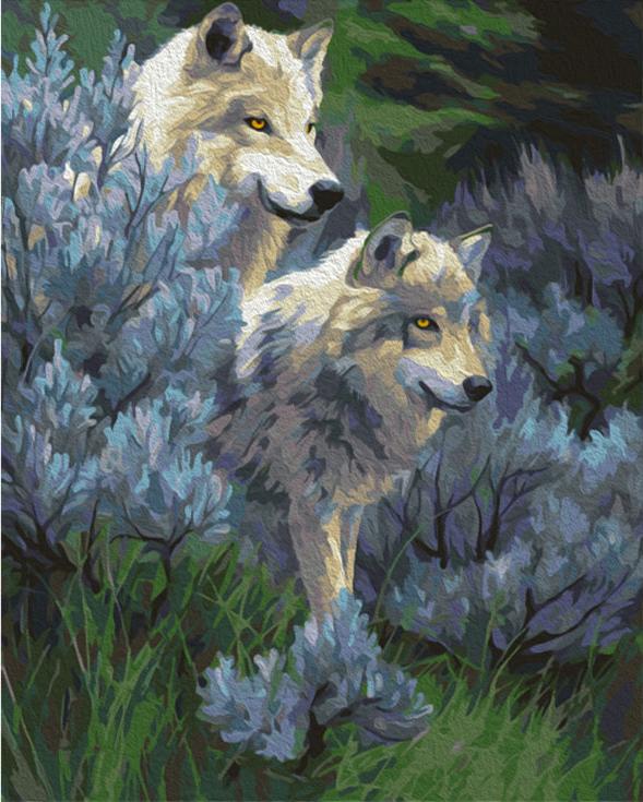 Картина по номерам «Волчья верность»
