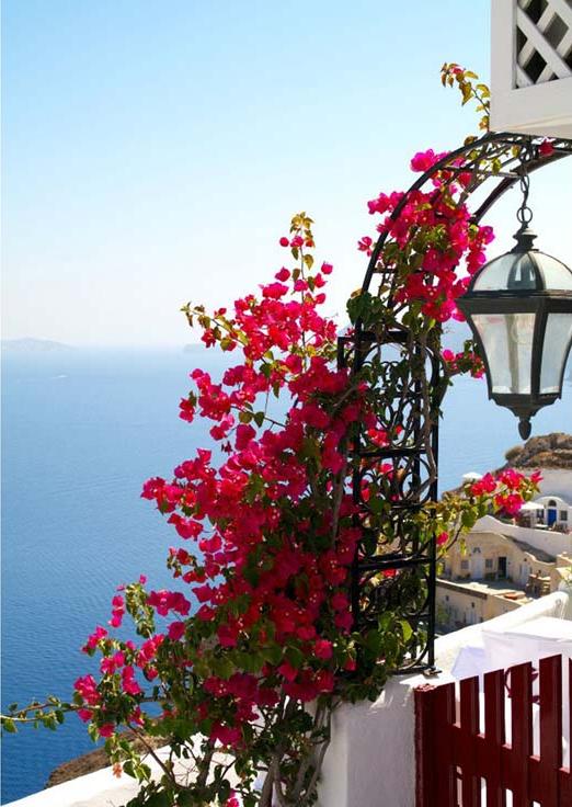 Алмазная вышивка «Цветущий балкон на Санторини»