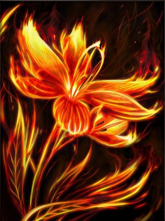 Алмазная вышивка «Огненный цветок»