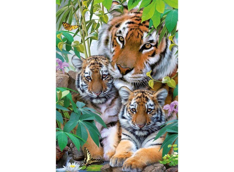 Пазлы «Семья тигров»