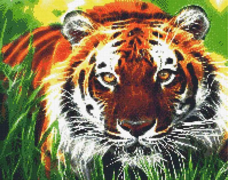 Алмазная вышивка «Охота тигра»