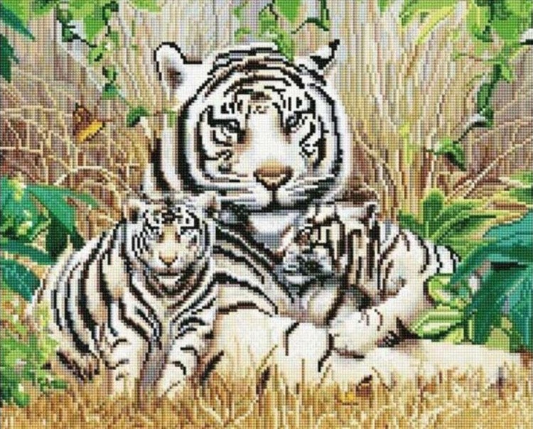 Алмазная вышивка «Белые тигры»