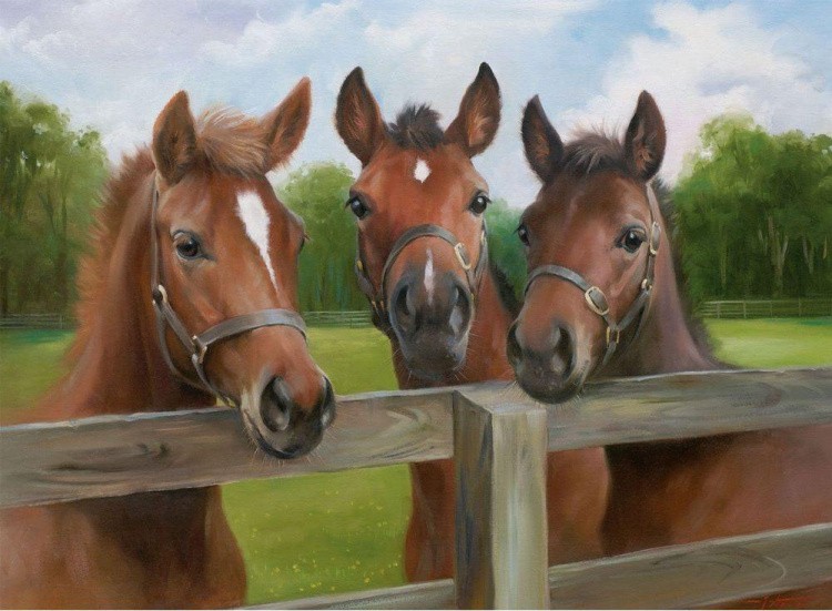 Пазлы «Три лошади»