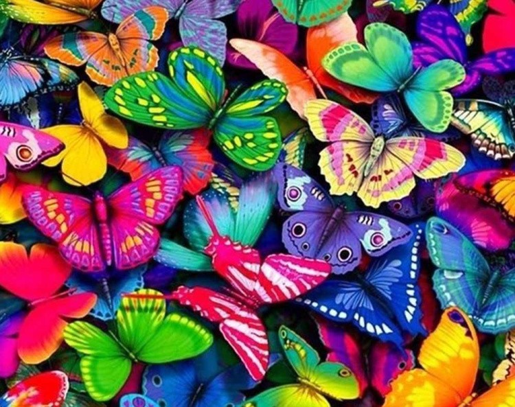 Алмазная вышивка «Разноцветные бабочки»