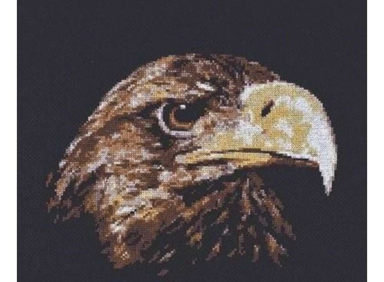 Набор для вышивания «Взгляд орла»