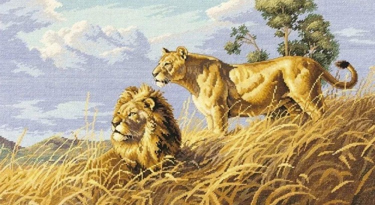 Набор для вышивания «Африканские львы»