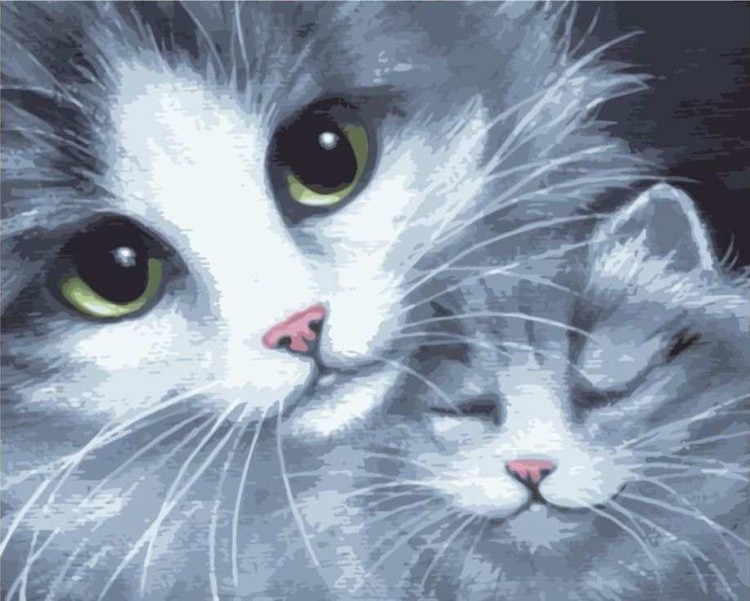 Картина по номерам «Милые котики»