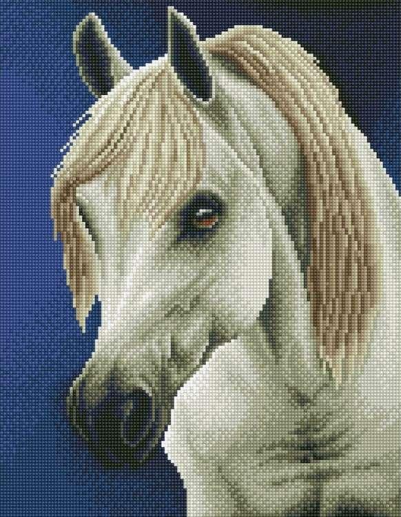 Алмазная вышивка «Белая лошадь»