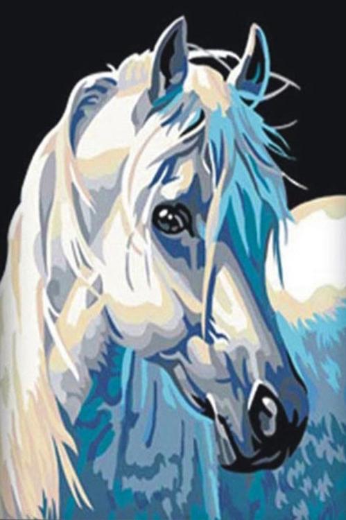Алмазная вышивка «Белая лошадка»