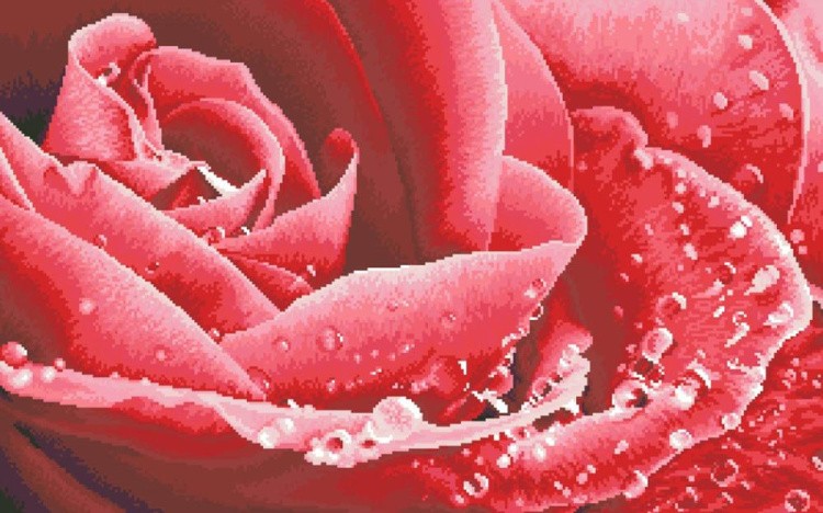 Алмазная вышивка «Розовая роса»