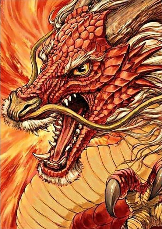 Алмазная вышивка «Китайский дракон»