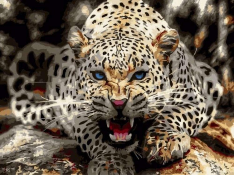 Картина по номерам «Леопард перед броском»