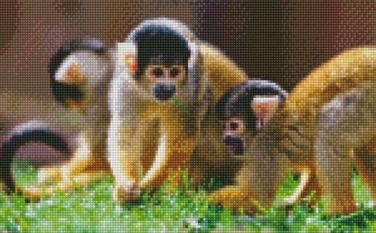 Алмазная вышивка «Беличьи обезьяны»